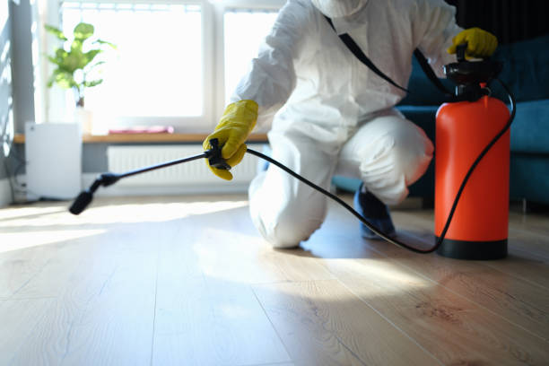 Reliable Sewage Cleanup contractor in North Palm Springs, CA by Dulley Family Biohazard Services